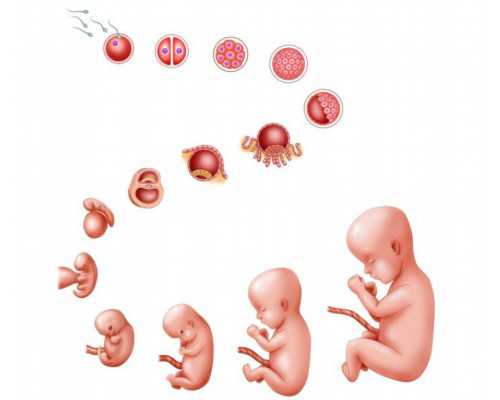 广州助孕公司代孕妈妈|2023内蒙古试管婴儿医院排名，赤峰妇产也能做三代了